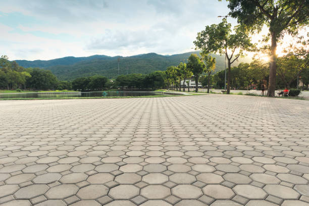 Best Professional Driveway Pavers  in Troy, IL